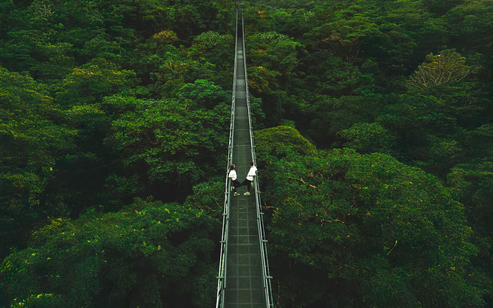 Monteverde Cloud Forest, Costa Rica